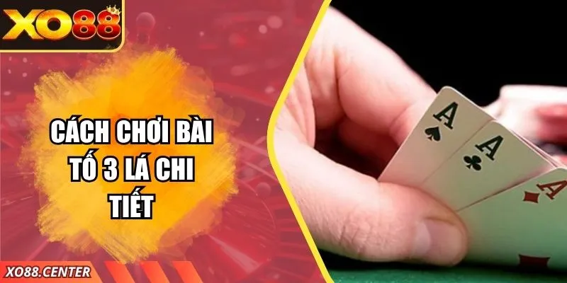 Cách Chơi Bài Tố 3 Lá Chi Tiết Cho Người Mới Tham Gi