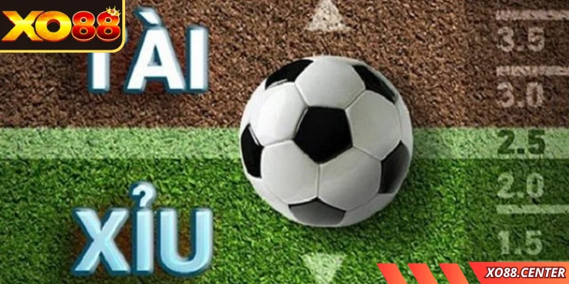 Tìm hiểu những kiến thức cơ bản về kèo tài xỉu