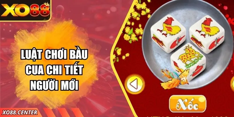 Luật Chơi Bầu Cua – Hướng Dẫn Chi Tiết Người Mới Bắt Đầu