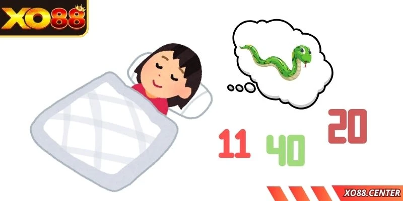 Những con số đặc biệt khác trong giấc mơ thấy rắn