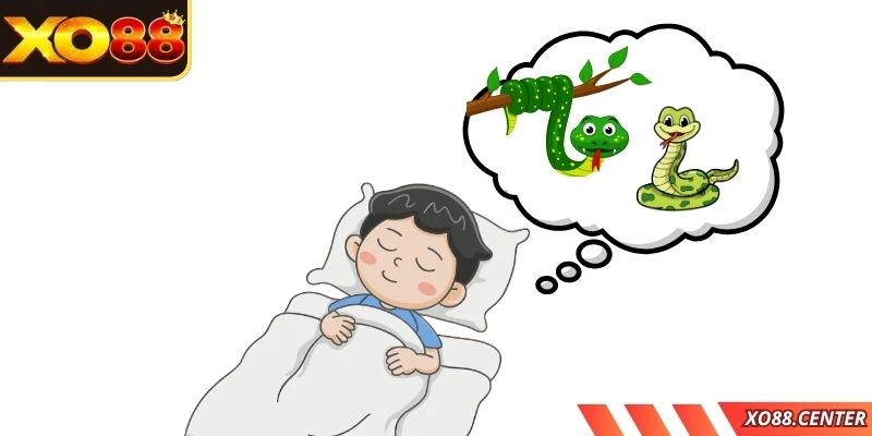 Thông điệp cùng số may mắn trong giấc mơ thấy 2 con rắn